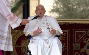 Pope Francis celebrates Palm Sunday at the Vatican