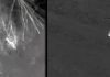 Thermal imaging plays major part in two rescues in Michigan