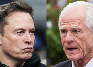Peter Navarro denies tensions with Elon Musk after Musk calls him a ‘moron’