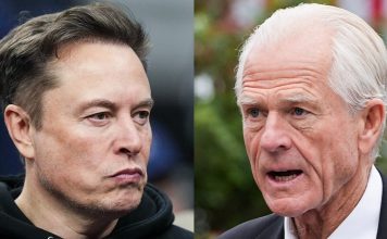 Peter Navarro denies tensions with Elon Musk after Musk calls him a ‘moron’